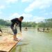 Panen Raya Ikan di Ranu Glabag Lumajang Kembangkan Ekonomi Masyarakat