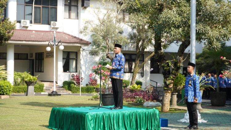 Provinsi dengan Desa Mandiri Terbanyak se Indonesia Ternyata Provinsi Ini