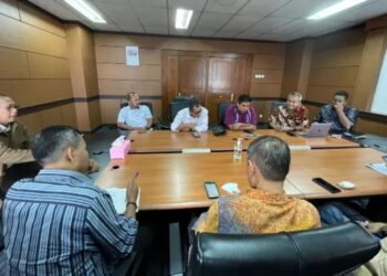 Audensi ke Dewan Pers, Berikut Statemen CEO Promedia