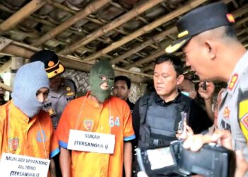 Dua Pencuri Sapi Diringkus Polisi, Salah satu Pelaku Tetangga Korban