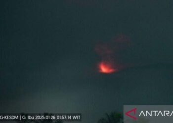 Erupsi Gunung Ibu di Halmahera Barat Muntahkan Abu Vulkanik Setinggi 500 Meter