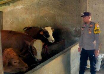 Polsek Kunir Antisipasi Curhewan Patroli Sambangi Kandang Warga