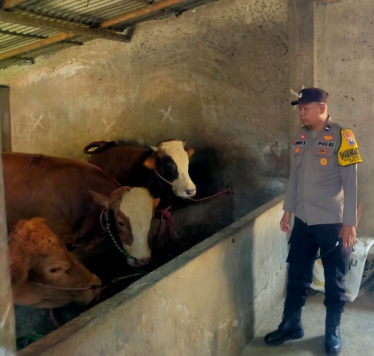 Polsek Kunir Antisipasi Curhewan Patroli Sambangi Kandang Warga