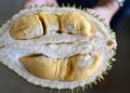 Penggemar Durian Wajib Tahu! 7 Makanan Ini Tidak Boleh Dimakan Bersama Durian, Bisa Berbahaya
