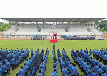 718 Tenaga Honorer di Lumajang Jalani Evaluasi, Mayoritas Lanjut Seleksi