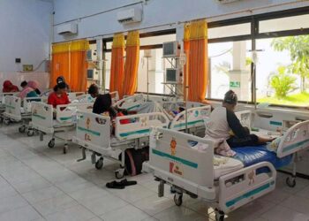 Kasus DBD di RI Meroket di Awal 2025, Kemenkes Catat 10 Ribu Kasus-48 Kematian