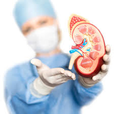 Apakah Puasa Berpengaruh Pada Ginjal? Berikut Cara Menjaga Kesehatan Ginjal Saat Puasa