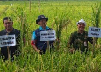 Anggaran Program Makan Bergizi Gratis Bisa Mencapai Rp 1,3 Miliar Per bulan Per Kecamatan