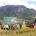 Produktivitas Pertanian Melalui Panen Serentak dan Teknologi Modern