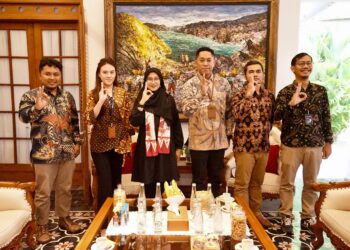 Pembangkit Listrik Tenaga Surya Terbesar di Indonesia Salah Satunya akan Dibangun di Banyuwangi