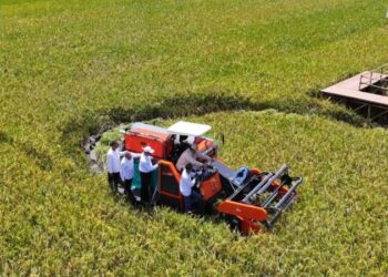 Indonesia Melesat Menuju Kemandirian Pangan