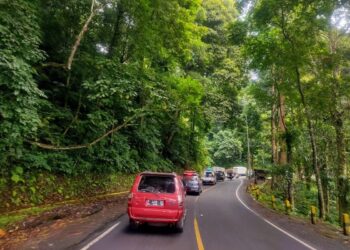 Selama 2 Bulan Jalur Banyuwangi-Jember Ditutup Total