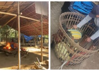 Arena Sabung Ayam Di Klakah Digrebek, 9 Ayam dan Puluhan Motor Diamankan