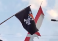 Pengibaran Bendera One Piece Tak Disoal Istana, Asalkan…