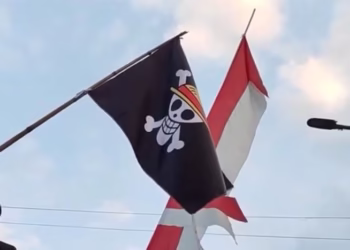 Pengibaran Bendera One Piece Tak Disoal Istana, Asalkan…
