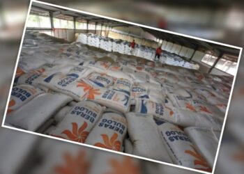 Bantuan Pangan Beras Resmi Diperpanjang hingga Desember 2025
