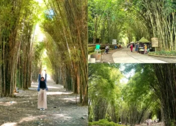 Bambu Jadi Masa Depan Industri Hijau Indonesia