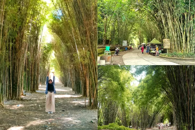 Bambu Jadi Masa Depan Industri Hijau Indonesia