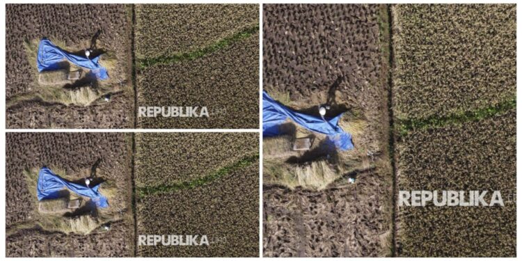 Swasembada Beras Berkah Nasional Dilema Global