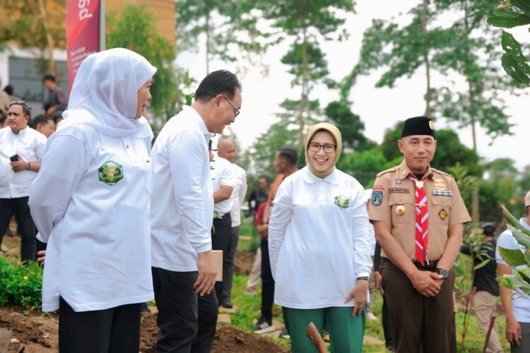 Pembangunan Jembatan Curah Maling–Curah Kebo Senduro Hampir Selesai