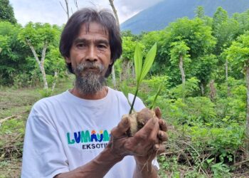 Daim : Hutan Benteng Terakhir Yang Menentukan Keselamatan Banyak Orang Bukan Sekadar Latar Kehidupan