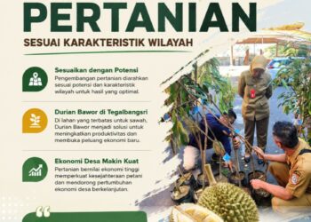 Kembangkan Pertanian Sesuai Karakteristik